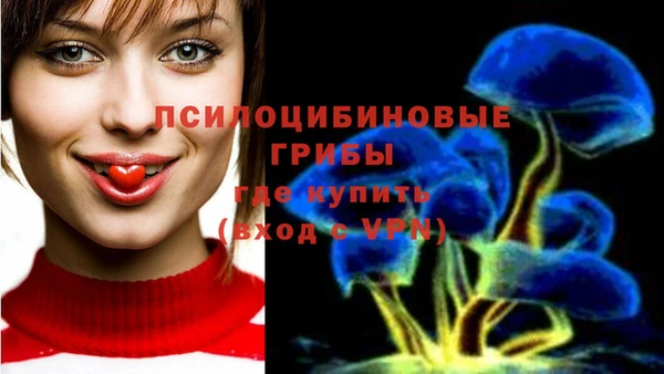 дживик Дмитровск