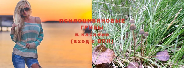 дмт Дмитриев