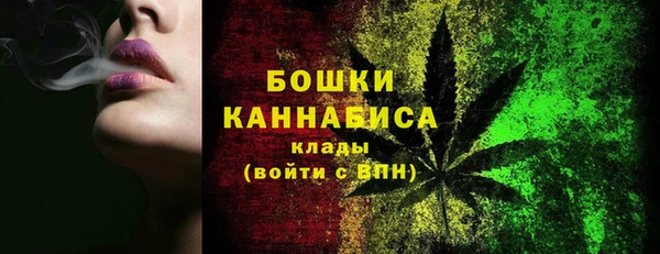 дмт Дмитриев