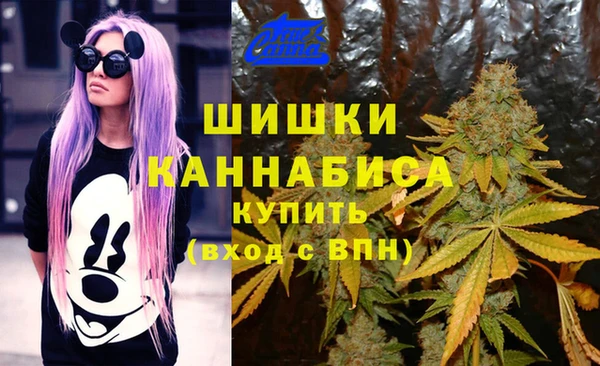 дживик Дмитровск