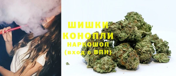 дживик Дмитровск