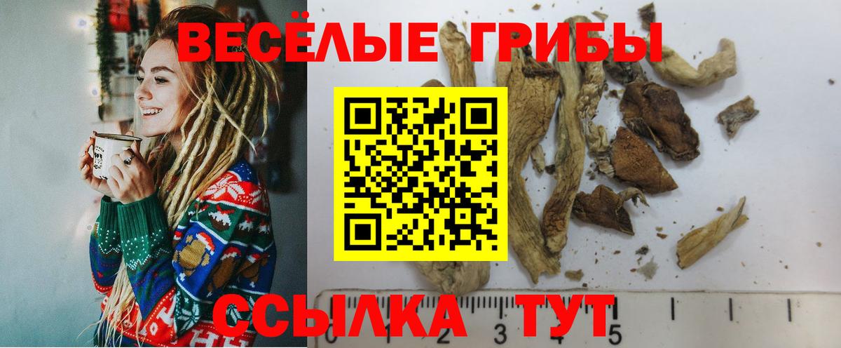 Галлюциногенные грибы Psilocybine cubensis  Наро-Фоминск 