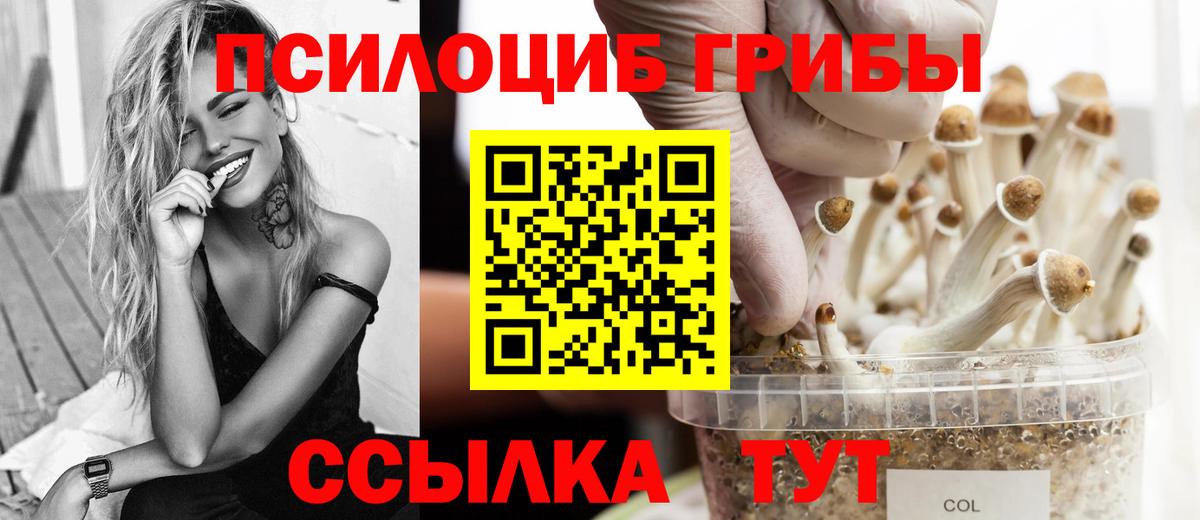 Галлюциногенные грибы Psilocybine cubensis Наро-Фоминск