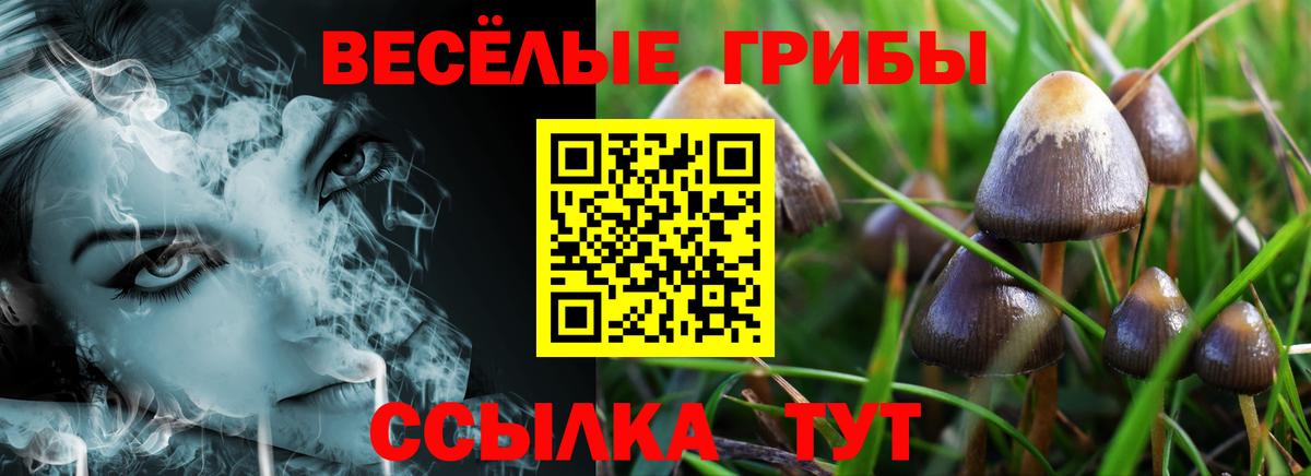 Наро-Фоминск  Галлюциногенные грибы Psilocybine cubensis  Псилоцибиновые грибы мухоморы  Вход с VPN 